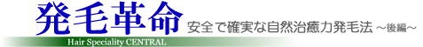 安全で確実な自然治癒力発毛法!
